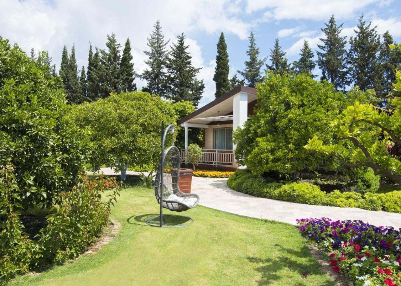 Kimera Lounge Boutique Hotel & Spa Cirali Exterior photo
